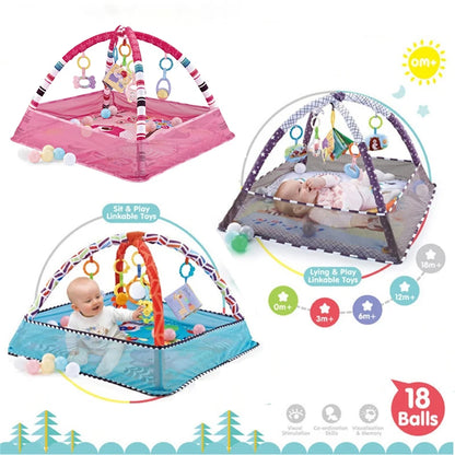 Multifunctional
Baby Fitness & Play Mat