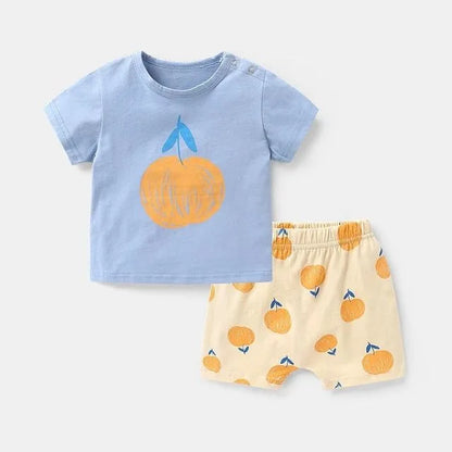 Baby Boy T-Shirt & Shorts Set